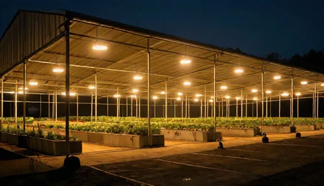 供求信息发布平台选型与使用建议